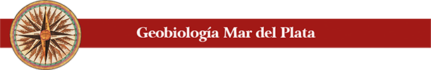 Banner de Geobiología para header
